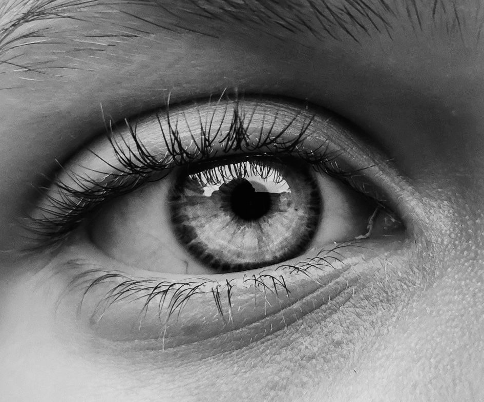Equipo Sauco Vision trabajando en modernización digital y comercial